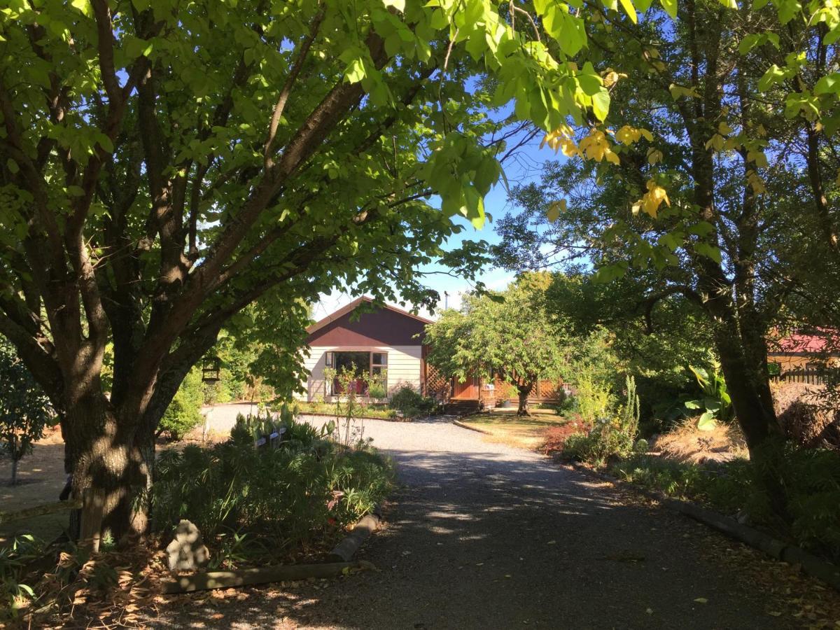 Chris'S Cabin Greytown Ngoại thất bức ảnh