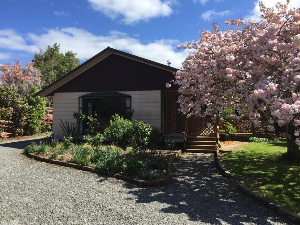 Chris'S Cabin Greytown Ngoại thất bức ảnh